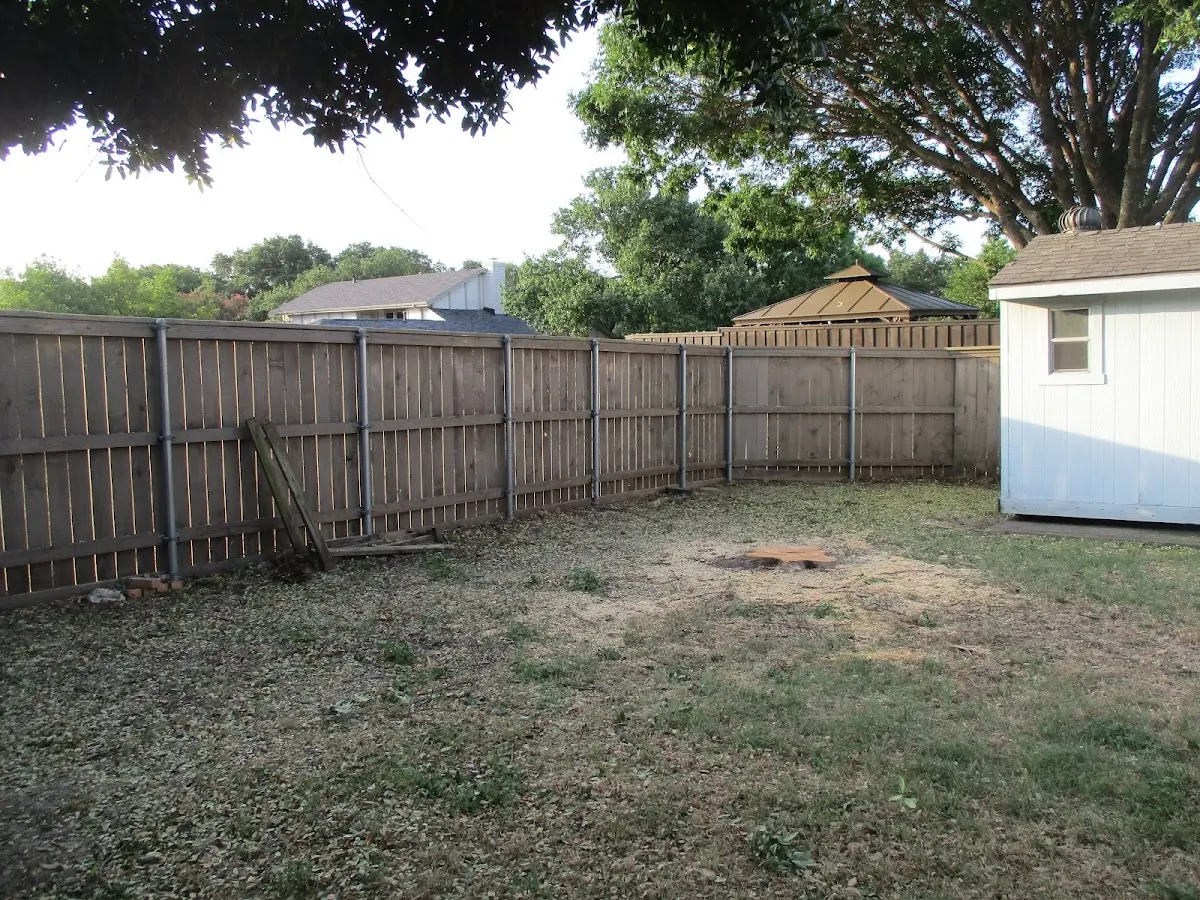 Cleared yard after professional tree removal in Hughes Springs